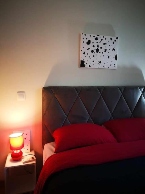 Apartment Cdv Stylish Flat *