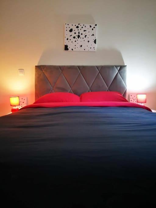 Cdv Stylish Flat